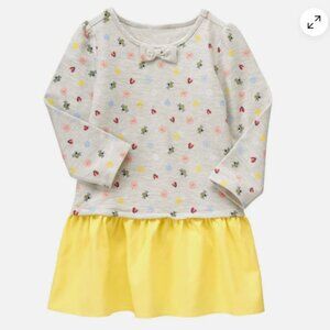 NWT Gymboree Wildfllower Weekend Ladybug Dropwaist Dress Sz 18-24M Toddler Girl